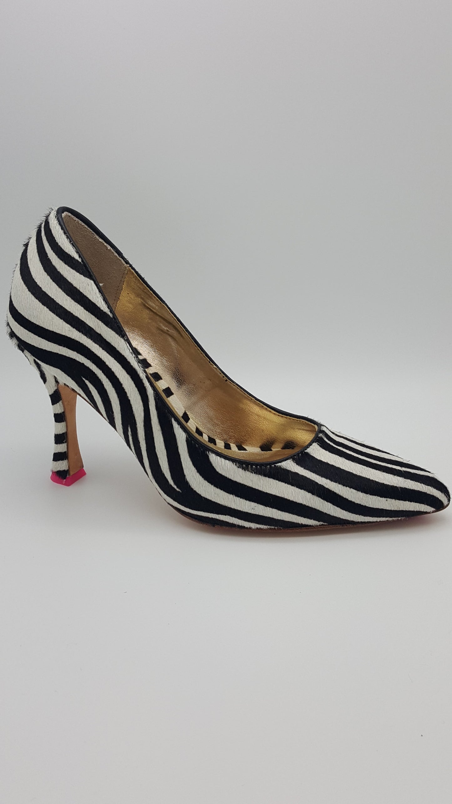 Daphne Zebra