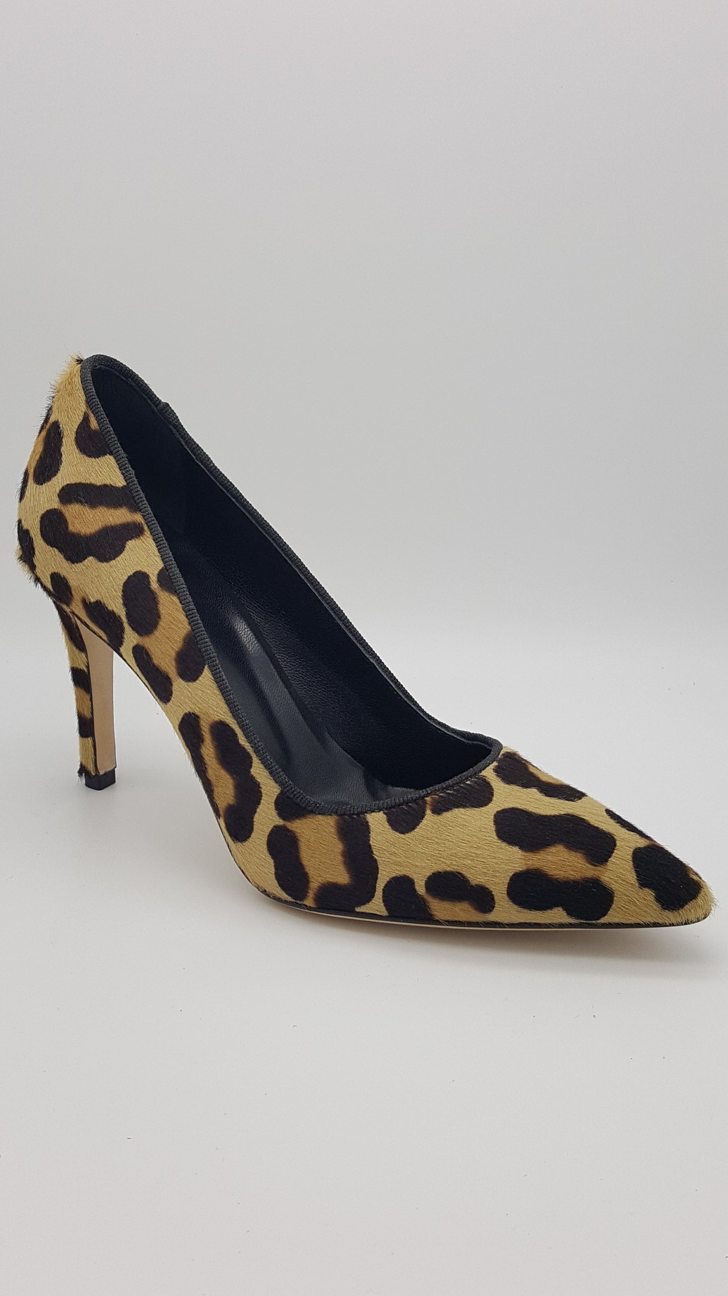 Paige - Leopard Pony